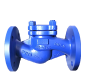 DIN Lift Check Valve