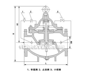 300X slow off check valve constructral diagram