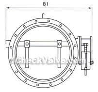 Butterfly buffering check valve constructral diagram(pic1)