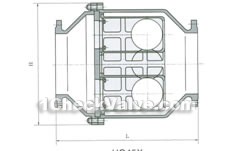 HQ45X flange double ball check valve constructral diagram