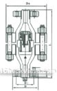 Flange high pressure lift check valve constructral diagram