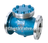 Flange jacket insluation check valves