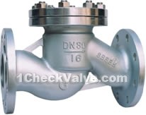 Flange lift check valves