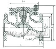 Flange lift check valve constructral diagram