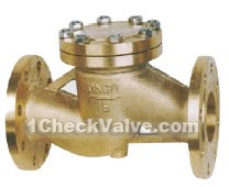 Flange lift copper check valves