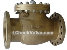 Flange oxygen check valves