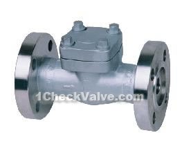 Flange straight-through high pressure check valves