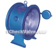 Flange tiny drag slow close soundproofing check valves