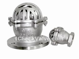 Flange vertical foot valve check valves