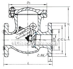 Gas check valve constructral diagram