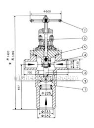 DN225 High pressure heater exit check valve constructral diagram(pic4)