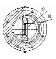 Lug wafer double disc swing check valve constructral diagram(pic1)