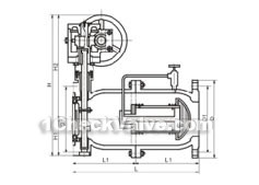 Multifunctional silent lift check valve constructral diagram