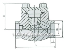 Socket welded forged steel lift check valve constructral diagram