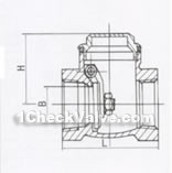 Swing internal thread brass check valve constructral diagram(pic1)