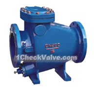 Tiny drag slow close swing check valves