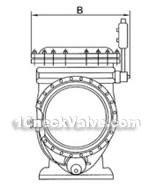 Tiny drag slow close swing check valve constructral diagram(pic2)