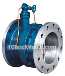 Two-plate tiny drag slow close butterfly check valves