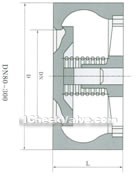 Wafer lift check valve constructral diagram(pic1)